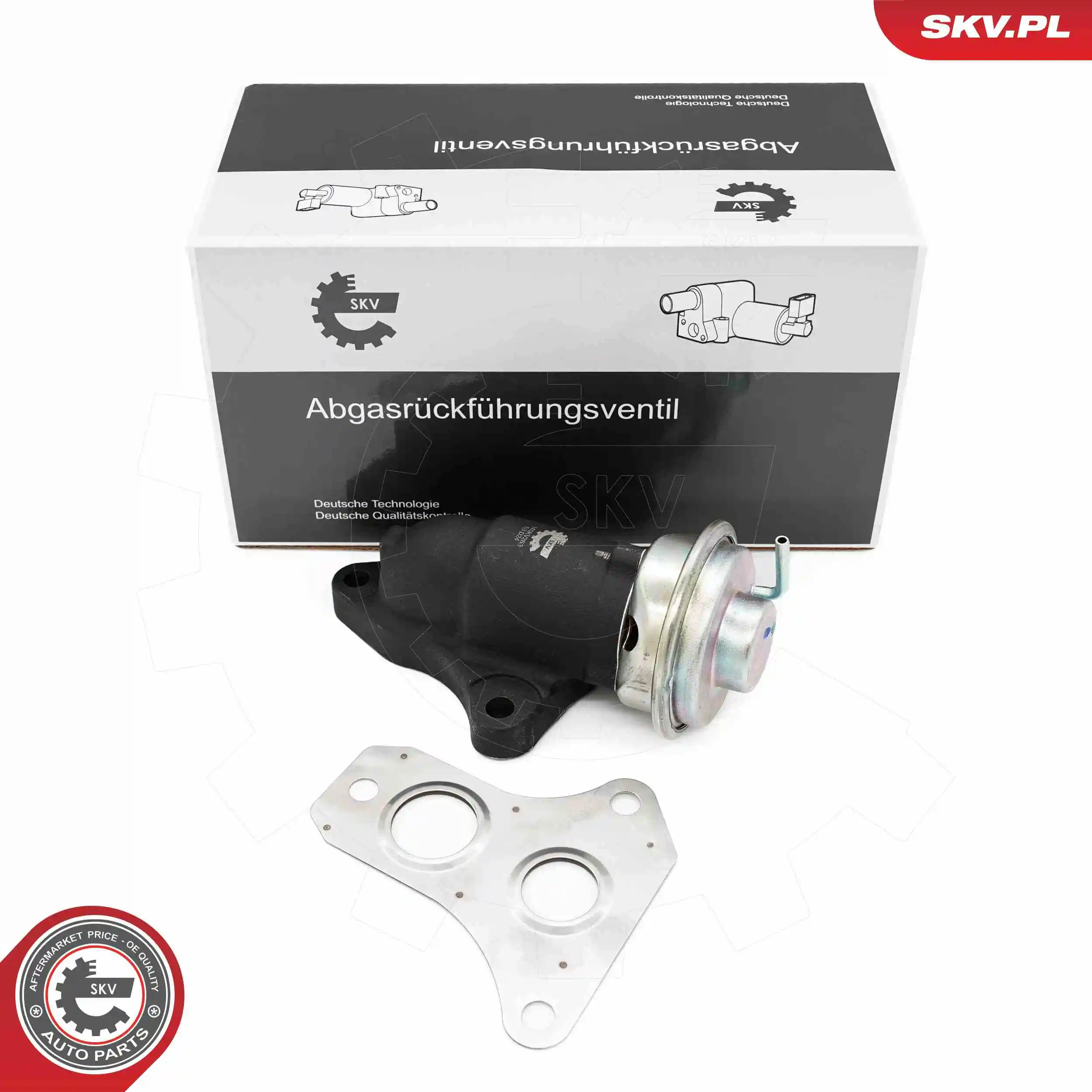 EGR Valve